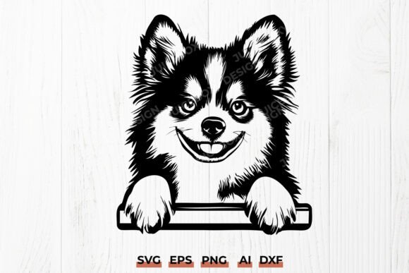 Download Peeking Pomsky SVG | Cute Fluffy Dog DXF - Dog dxf Collection