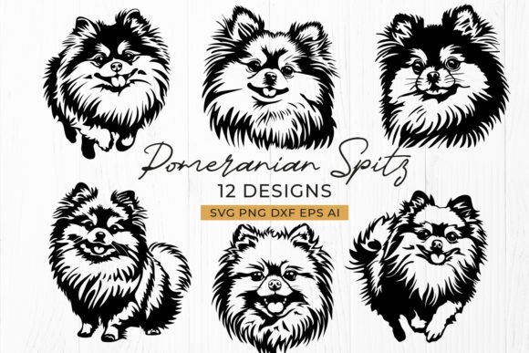 Download Pomeranian Spitz SVG Bundle - 12 Dog DXF - Dog dxf Collection